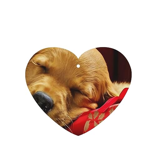 NX}X  ԗpF p[\iCY tOX XCX J[A}Zs[ ^ubg ݂艺 F J[h [vt 4 ԂƂ̑p