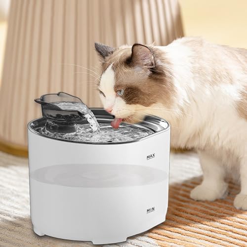 Bebedero automático para gatos con filtro y funcionamiento silencioso miniatura 4