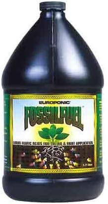 Fossil Fuel 1 Gallon