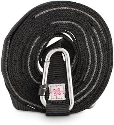 EveryYay by Petco Settin' the Pace Adjustable Recall Training Leash for Dogs 15"