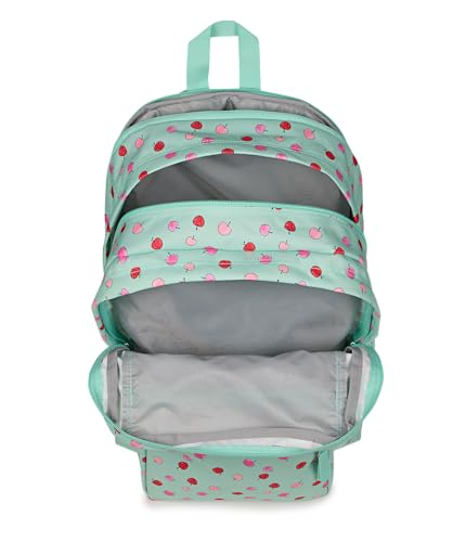 Image of JanSport Laptop Backpack - Computer Bag with 2 Compartments, Ergonomic Shoulder Straps, 15 inch Laptop Sleeve, Haul Handle - Apple Orchard