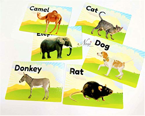 Image of Negi Animal Flashcards for Kids