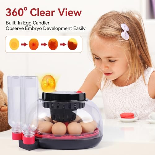 12 Egg Incubators for Hatching Eggs, Chicken Egg Incubator with Automatic Egg Turning and Temperature Humidity Control, 360° Clear View Lid or Home, Farm, Classroom, Hatching Chicken, Duck,Quail,Goose - Image 6