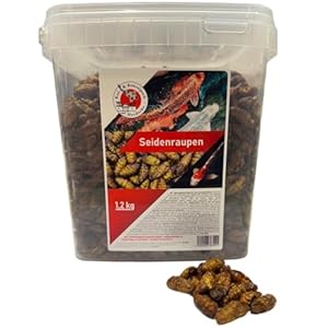 Koi- Und Bonsaipark Herdecke Seidenraupen 1,2 kg