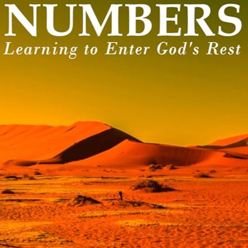 『Numbers: Part 1 - A Journey Through the Wilderness』のカバーアート