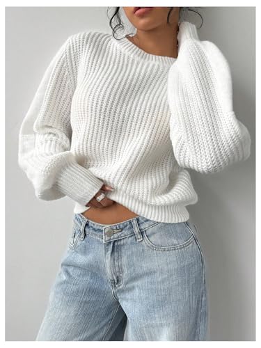 WDIRARA Women's Ribbed Knit Pullover Sweater Long Lantern Sleeve Crew Neck Knitwear Tops4