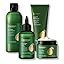 Combo (Hair Tonic, Shampoo, Conditioner, Hair Mask)