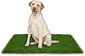 Artificial Grass for Dogs Pee Pads, Dog Grass Mat Replacement for Dog Toilet Suitable for Indoor Outdoor Training(46 * 71cm)