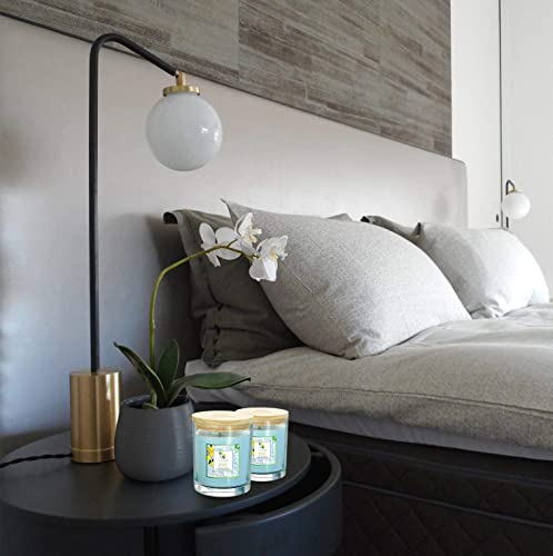 Ecoaroma Scented Candles Organic Coconut-Soy Wax. Natural Flower Extract Fragrance Oils Premium Botanical Candle Pack 2-12 Oz Jars Pineapple Coconut #TOP1