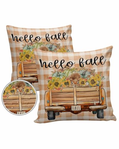 Outdoor Throw Pillow Covers 18x18 Waterproof Fall Harvest Pumpkins Outdoor Pillows Decorative Pillow Covers Cushion Covers Pillowcase for Tent Patio Garden Couch Set of 2, Truck Squirrel Plaid