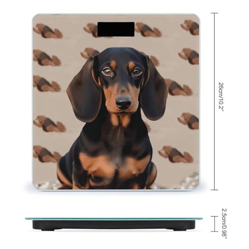 Báscula Digital para Baño con Diseño de Perro Dachshund miniatura 2