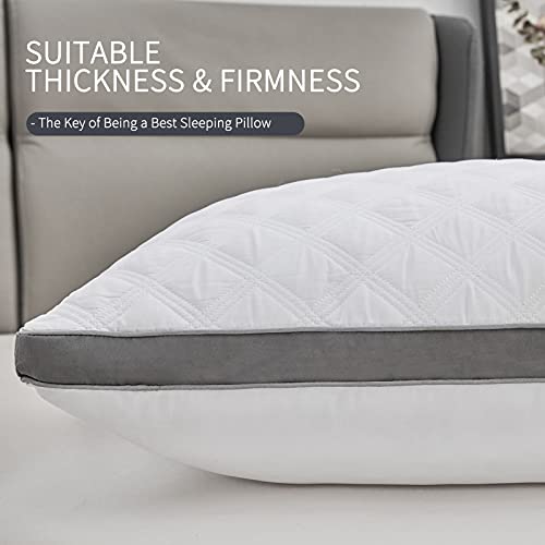 Lipo Premium Quilted Queen Size Bed Pillows, Set Of 2 Luxurious Down Alternative Pillows For Sleeping With White Side, For Side And Back Sleepers, 20 X 30 Inch #TOP4