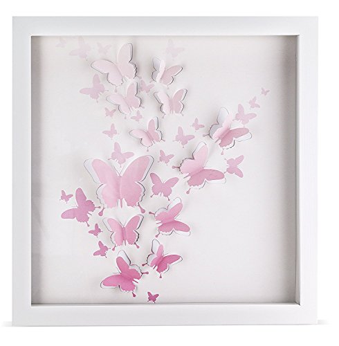 Green Frog Upgraded Shadow Box Frame 16 X 16 Inch with Butterfly Inner Display Board