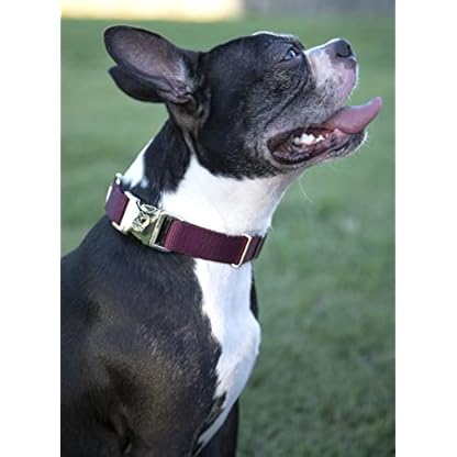 Country Brook Petz Premium Nylon Dog Collar with Metal Buckle for Small Medium Large Breeds - Vibrant 30+ Color Selection (Large, 1 Inch, Burgundy) - Image 3