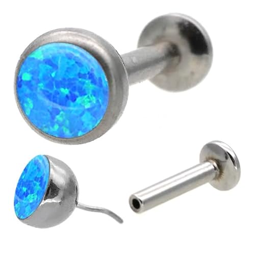 [vbVs] x[ZbgWGVZeBbNIp[ {fBsAX sAX AM[Ή Ўp LSP5