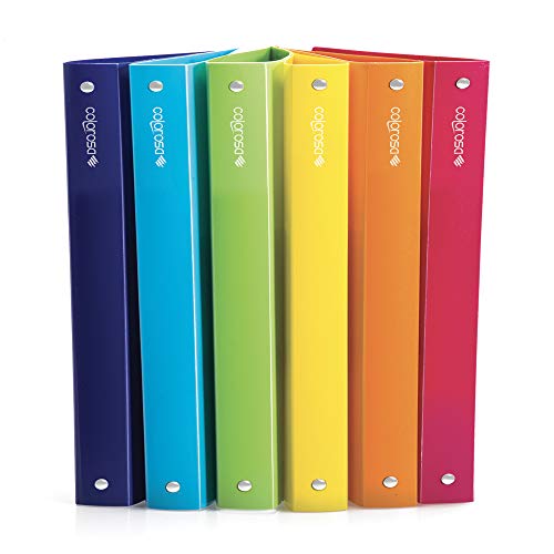 RI.PLAST 89359 - Archivador Colorosa 4R, Ø30 mm, colores surtidos, 245 x 307 mm