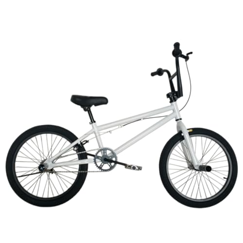 WGM�t���[�X�^�C��BMX�o�C�N�i���S�҂���㋉�Ҍ����j ���Y�f�|�t���[���A�A���~�j�E������U���^���A�u���[�L�����20�C���`�z�C�[���t�� ���F�W�J �A�W���j�A���K�p �ϗp�̍��Y�f�|�t���[�� (��2,20�C���`)