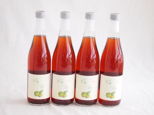 4{Zbg(̔~ n~ 18x (F{)) 720ml×4{