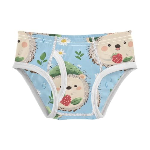 Wusikd Cute Hedgehog Boys' Underwear Cotton Green Leaf Boys Briefs Soft Toddler Underwear 2T