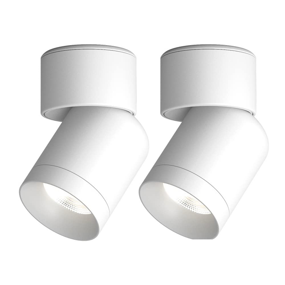 Jadssox LED Ceiling Spotlight Adjustable Surface Mounted Accent Spot Light, 360+90 Angle Rotation Gallery Picture Lighting Fixture, Bedroom Drawing Room Directional Spotlights