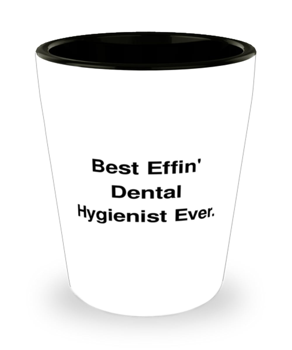 Surprise Dental hygienist Gifts, Best Effin' Dental Hygienist Ever, Birthday Shot Glass For Dental hygienist from Colleagues