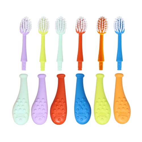 Radius Big Kidz Forever Brush with Replaceable Head Toothbrush for Children, 6 Years and Up, BPA Free ADA Accepted for Growing Teeth and Gums - Right and Left Handed, Extra Soft