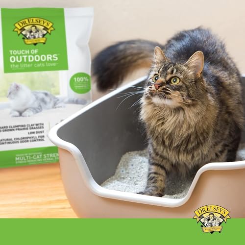 Image of Dr. Elsey's Touch of Outdoors Bentonite Cat Litter, Natural Chlorophyll for Odour Control, Dust-Free, Quick Absorption, Hard Clumping, Reduces Stress, Multi-Cat Friendly - 9.08 kg