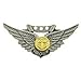 EagleEmblems P12025 Wing-USN,Combat Aircrew (Mini) (1-1/16')