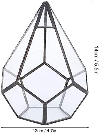 HERCHR Glass Geometric Terrarium Box - Image 4