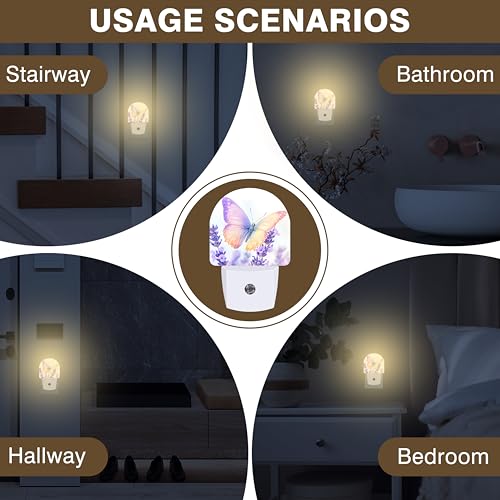 Image of Night Lights Plug into Wall Butterfly on Lavender Flower Night Light Dusk to Dawn Smart Sensor Decorative Round Led Lamp for Bedroom Kitchen Hallway Nightlight for Women Men