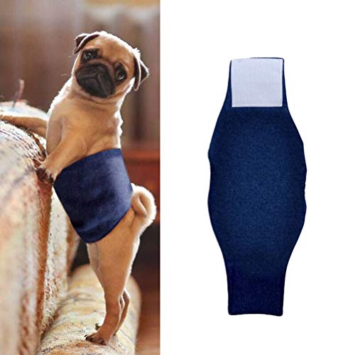 Calça sanitária POPETPOP para cães de estimação, calça fisiológica de algodão lavável para filhotes,