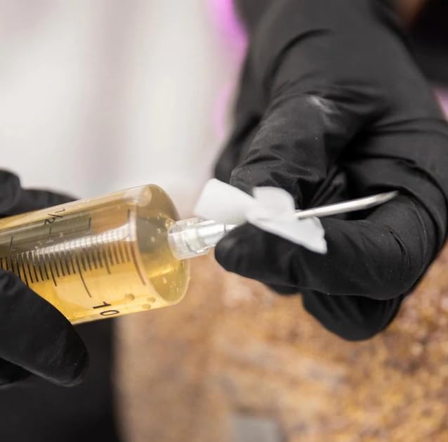 Image of North Spore Mushroom Liquid Culture Kit | 30x Spore Multiplier & Cloning