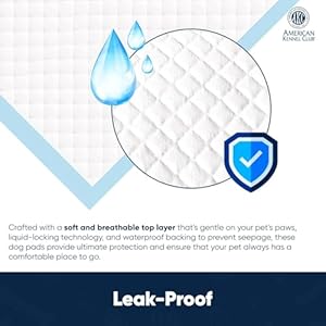 Ultra-Absorbent-Odor-Control-Training-Pads-for-Dogs-Leak-proof-Quick-Dry-Gel-aE-Extra-Large-30-x-28-Pee-Pads-Fresh-Scented-50-Count-Pack-of-1 - Cucciolini Doodles Ultra-Absorbent-Odor-Control-Training-Pads-for-Dogs-Leak-proof-Quick-Dry-Gel-aE-Extra-Large-30-x-28-Pee-Pads-Fresh-Scented-50-Count-Pack-of-1