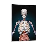 アートパネル ポスター 胸見え セクシー おっぱい キャンバス絵画 部屋飾り 壁の絵 壁掛け 取り付けやすい 玄関装飾用絵画 インテリア 壁アート ソファの背景絵画 玄関 洗面所 キッチン 寝室の飾り（30x45cm）