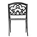 Christopher Knight Home Austin Outdoor Cast Aluminum Dining Chairs, 2-Pcs Set, Shiny Copper