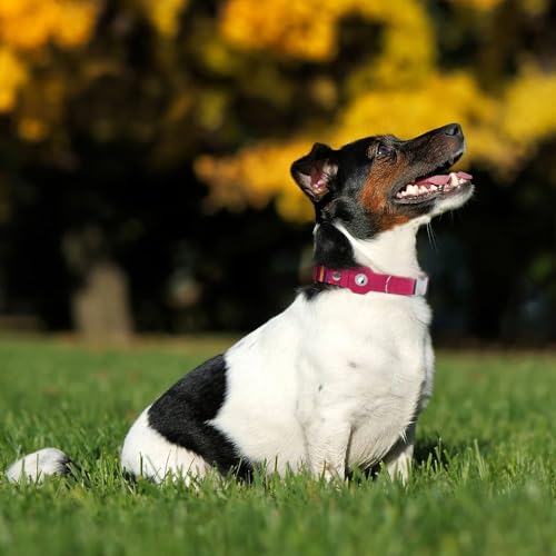 AirTag Dog Collar for Small Medium Large Breed - Adjustable Cute Pattern Dog Collar with Airtag Holder - Soft Leather Tracker GPS Apple Air Tag Pet Collars (Small, 12"-15" Neck Fit, Striped) by BUDKAS - Image 7