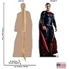 Batman Vs Superman Life-Size Cardboard Standup – Brand New, 2126, Made In USA