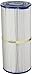 Pleatco PPM25-4 Replacement Cartridge for Pacific Marquis 25, 1 Cartridge