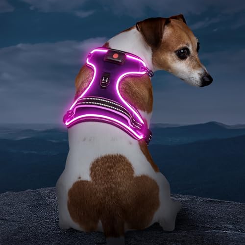 Image of Light Up Dog Harness, Rechargeable LED Dog Vest for Night Walking