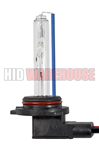 Image of AC HID Xenon Replacement Bulbs - 9012 8000K - Medium Blue (1 Pair)