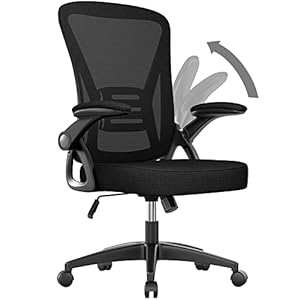 naspaluro Chaise de Bureau avec Accoudoir Relevable, Fauteuil de Bureau en Maille Respirante avec Soutien Lombaire, Dossier Inclinable et Hauteur, Roulette Pivotant à 360°, Noir