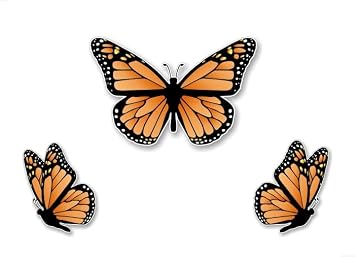 3 Monarch Butterfly Decal Set Sticker Accessories or Laptop Classic Vinyl Stickers 2-2.5"x4" and 1-4"x 6" Decals