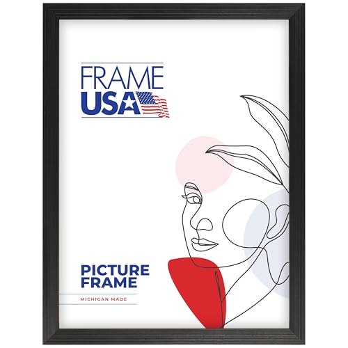 Frame USA 23x35 Picture Frame Black Timber Series Wall Hanging Frame with High Clarity Plexiglass