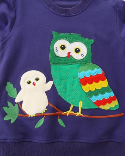 Image of Popshion Toddler Boys Sweatshirts Dinosaur Long Sleeve Pullover Crewneck Shirts Cartoon Tee Sport Tops for Kids 1-8T