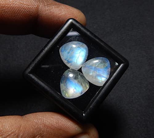 11Mm Trillion Shape Blue Fire Aaa Quality Natural Rainbow Moonstone Calibrated Cabochon Loose Gemstone 3 Pcs Box. #TOP4