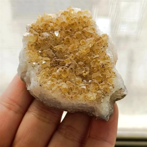 1pc Citrine Quartz Geode Yellow Crystal Cluster Crystals Rough Stone Crafts Ornament Ornaments (Size : 110-140g) Gemstone Stone