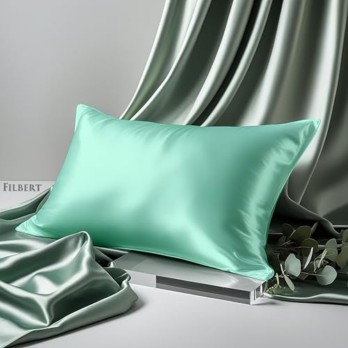 Image of Filbert Premium Satin Pillow Covers | Silky Satin Nights Where Comfort Meets Glamour | Best Gifting Collection - 18 inchx28 inch Inch - Aqua Green