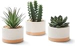 Plantes à succulent artificiel en pots de céramique, Faux Succculents assortis Faux Cactus Plantes pour la décoration maison, Chambre, Bureau, Salon, Ensemble de 3
