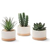 Amazon.com: ASTRIDIA Artificial Succulent Plants in Ceramic Pots