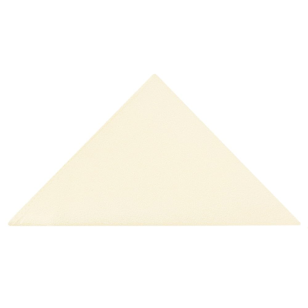 TIES R US Plain Ivory Silk Pocket Square